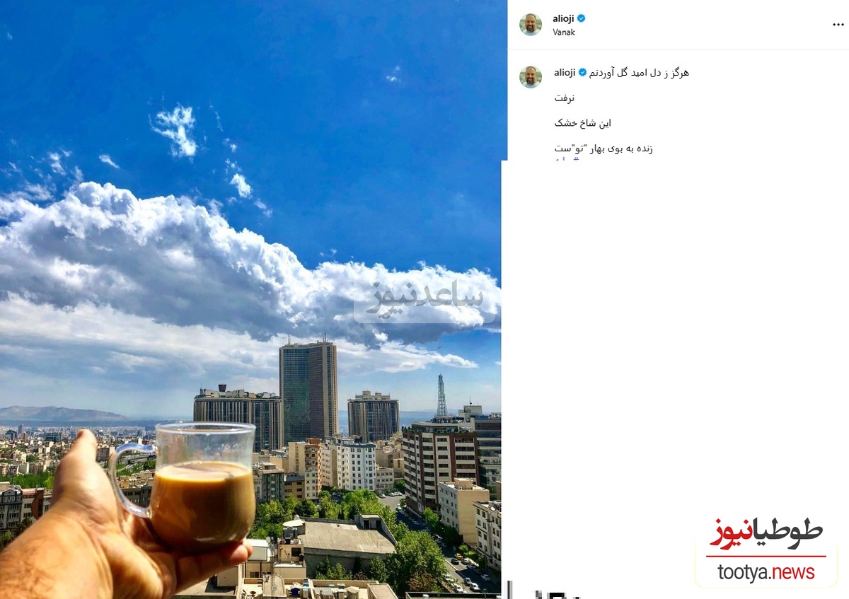 چیدمان منزل علی اوجی و نرگس محمدی